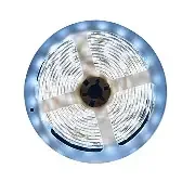 LED Branco Frio 6500 cob 10m 110v